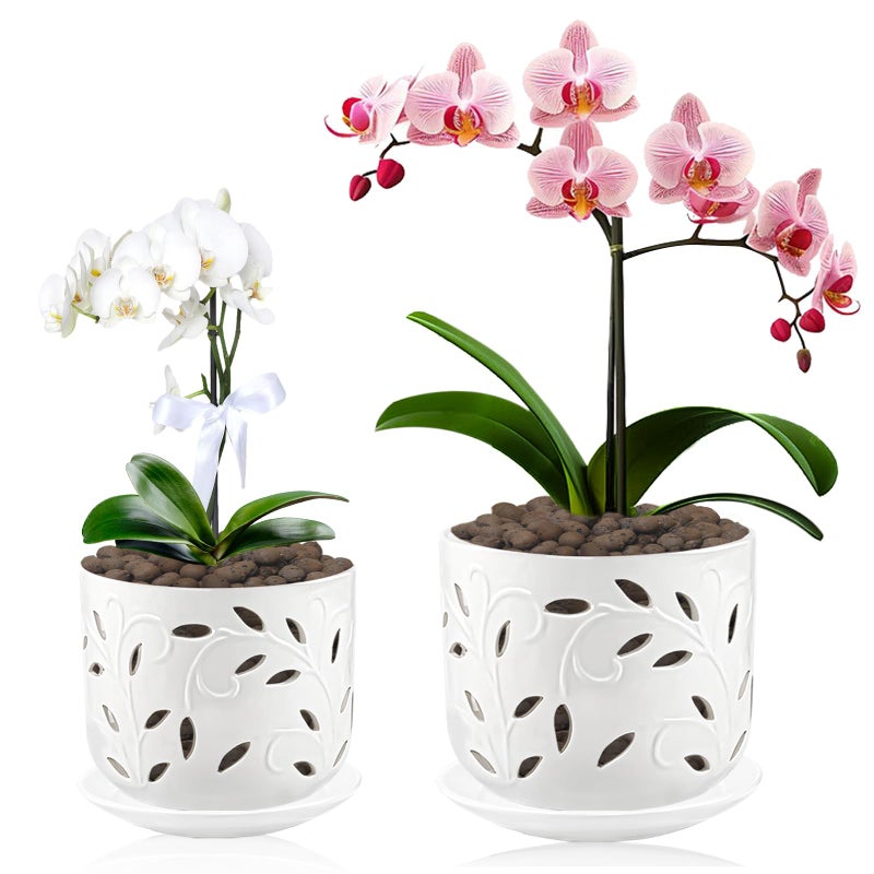 BUYMAX Set of 2 Orchid Pots with Holes & Saucers for Orchid Root Health  5 inch&6 inch Ceramic Pots for Plants  Effective Drainage and Ventilation to Assist New Plants or Repotting - Image 1